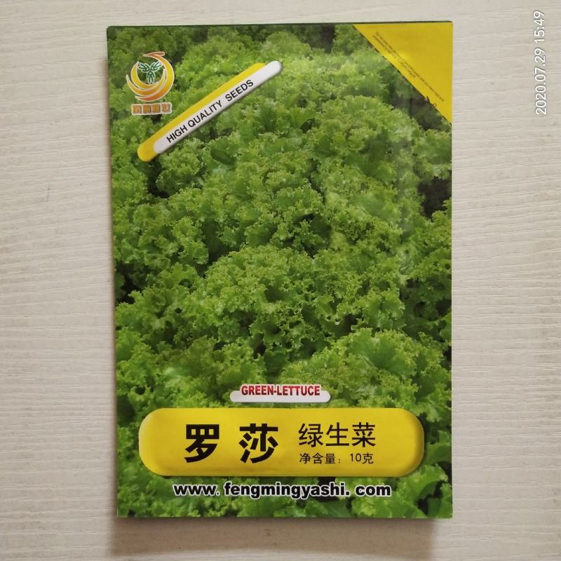 凤鸣雅诗羽衣甘蓝种子紫生菜野生山芹种子特色养生菜种子