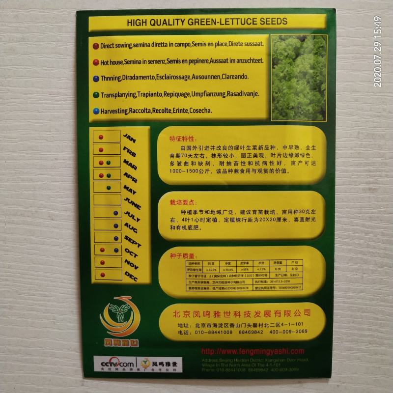 凤鸣雅诗羽衣甘蓝种子紫生菜野生山芹种子特色养生菜种子