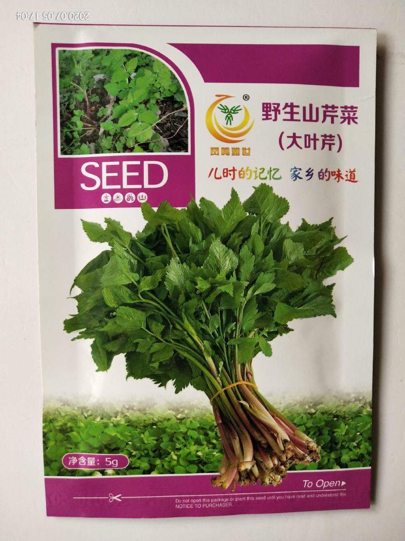 凤鸣雅诗羽衣甘蓝种子紫生菜野生山芹种子特色养生菜种子