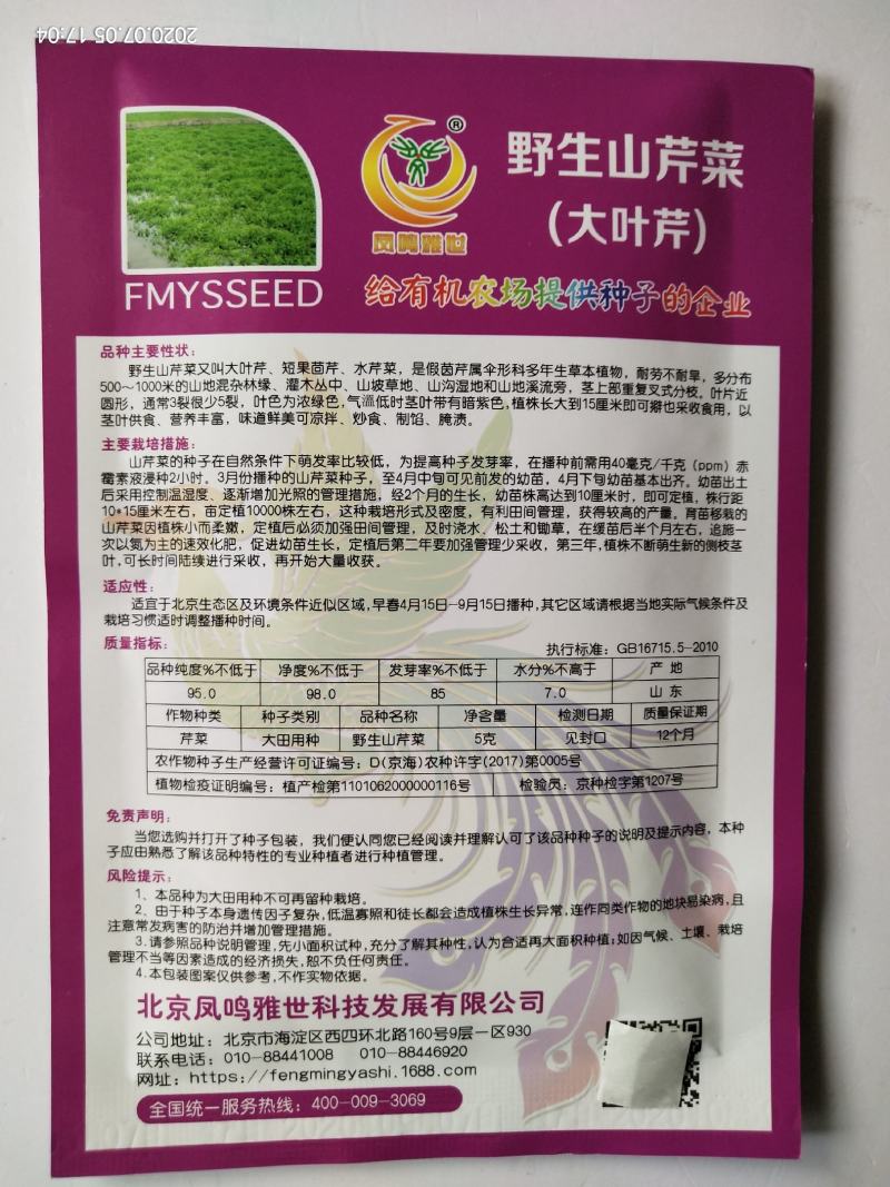 凤鸣雅诗羽衣甘蓝种子紫生菜野生山芹种子特色养生菜种子