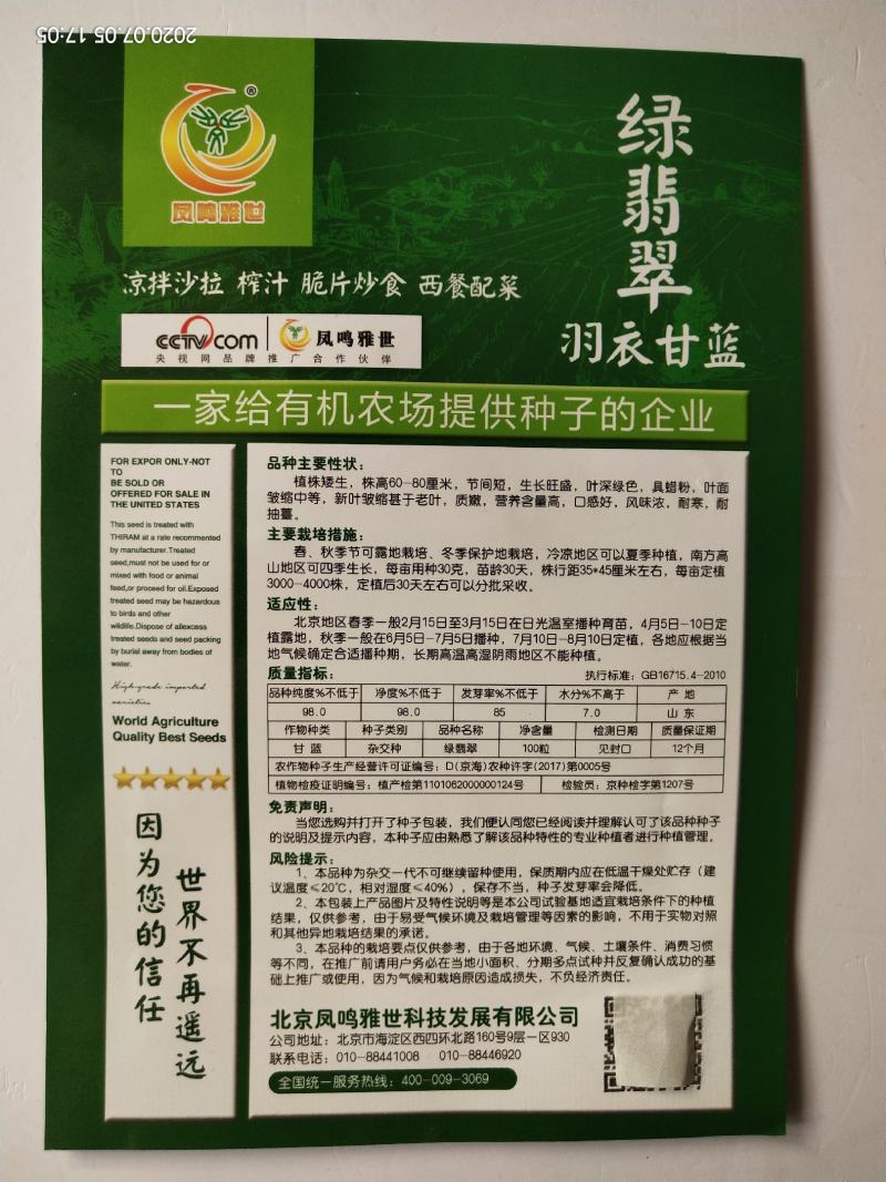 凤鸣雅诗羽衣甘蓝种子紫生菜野生山芹种子特色养生菜种子