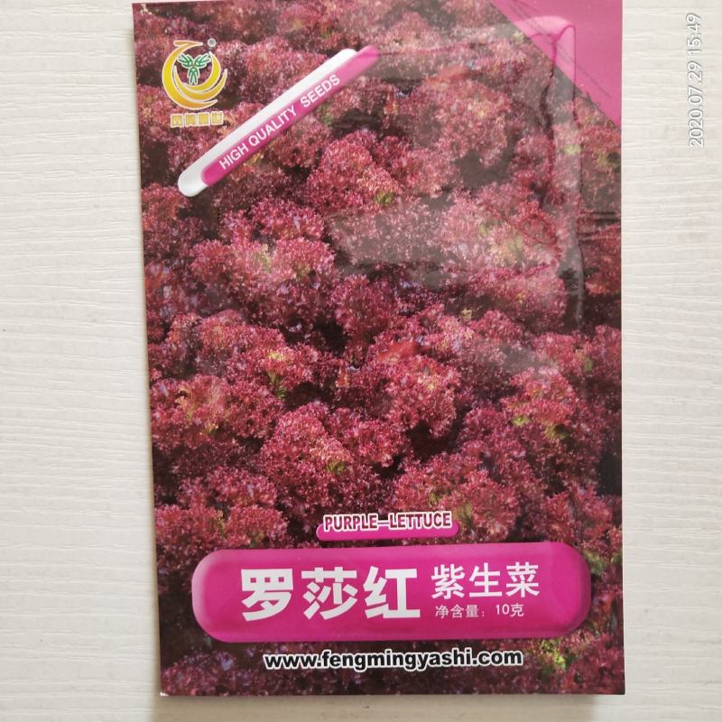 凤鸣雅诗羽衣甘蓝种子紫生菜野生山芹种子特色养生菜种子