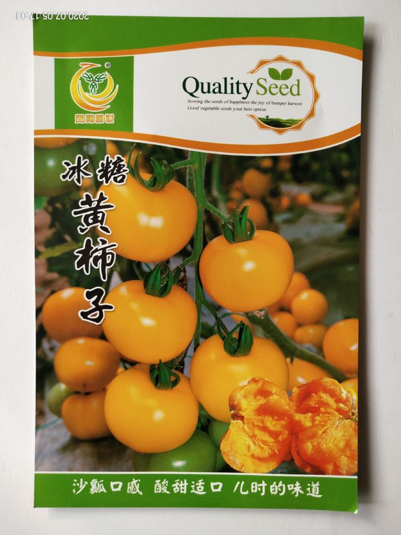 凤鸣雅诗羽衣甘蓝种子紫生菜野生山芹种子特色养生菜种子
