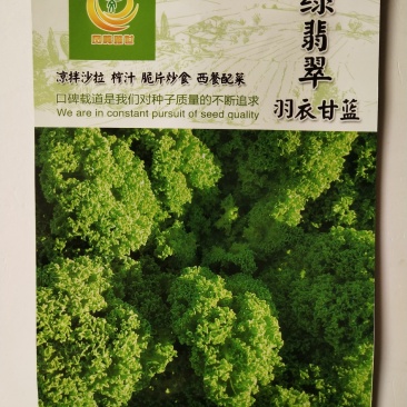凤鸣雅诗羽衣甘蓝种子紫生菜野生山芹种子特色养生菜种子