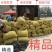 江苏大白沙！产地直发，批发商，电商，超市，加工厂。