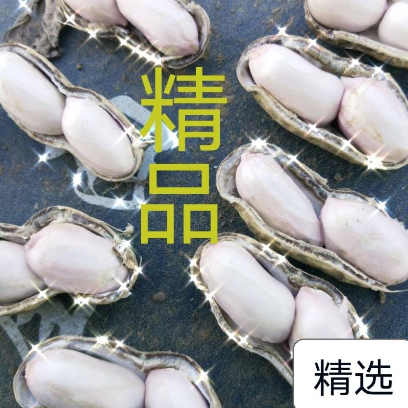 【商超批发】鲜货带壳，过筛手捡，货源充足保证质量