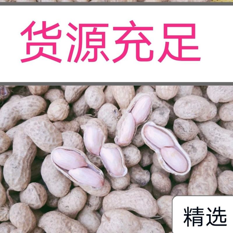 【大白沙鲜花生】电商，超市，各大批发档口，量大从优！