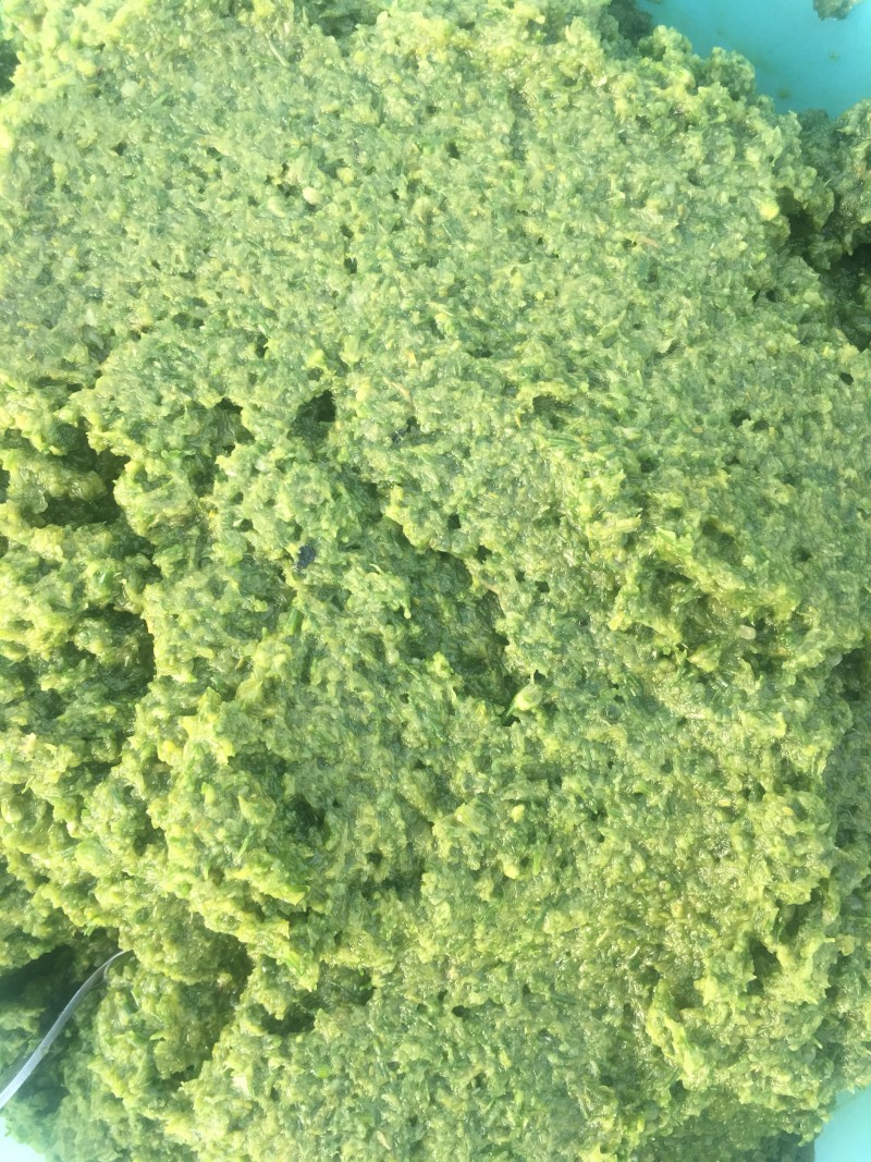 【韭菜花酱】内蒙古锡林浩特市韭菜花酱，保证质量！