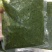 【韭菜花酱】内蒙古锡林浩特市韭菜花酱，保证质量！