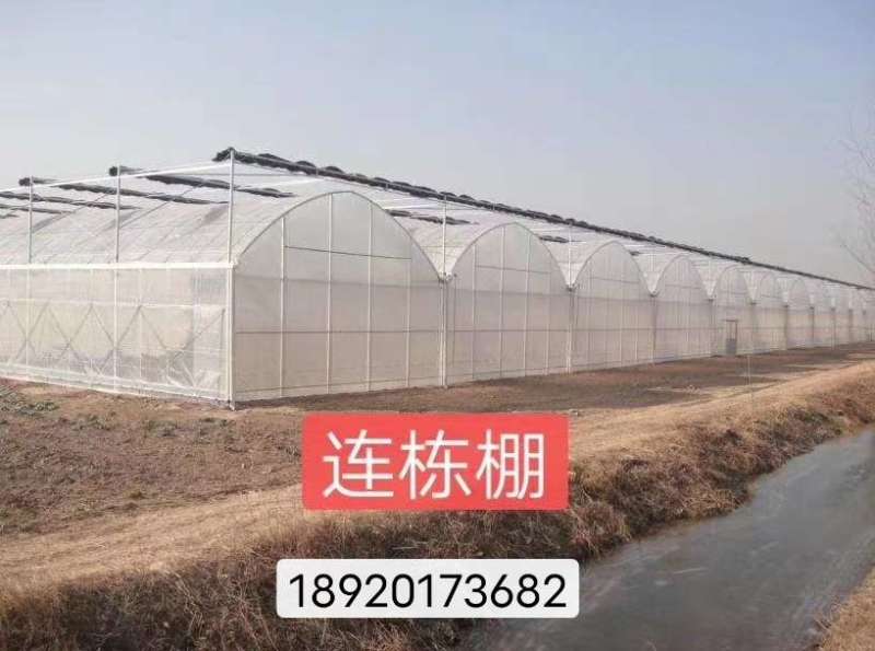 厂家直销:大棚圆管，方管，椭圆管，可加工定尺！加工范围