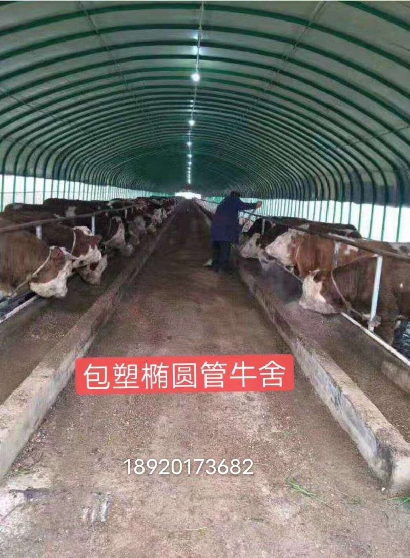 厂家直销:大棚圆管，方管，椭圆管，可加工定尺！加工范围