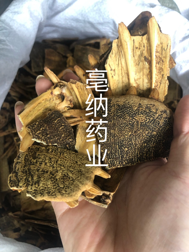炙鳖甲中药材优质鳖甲炒鳖甲散装醋制甲鱼壳