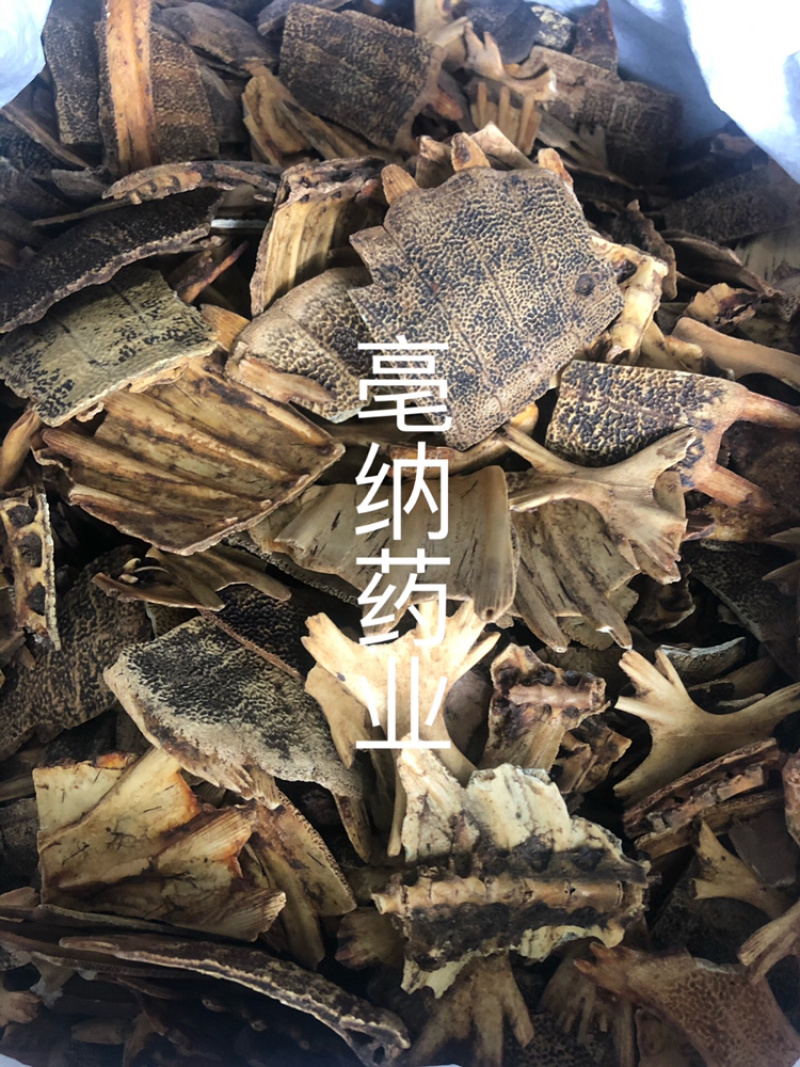 炙鳖甲中药材优质鳖甲炒鳖甲散装醋制甲鱼壳