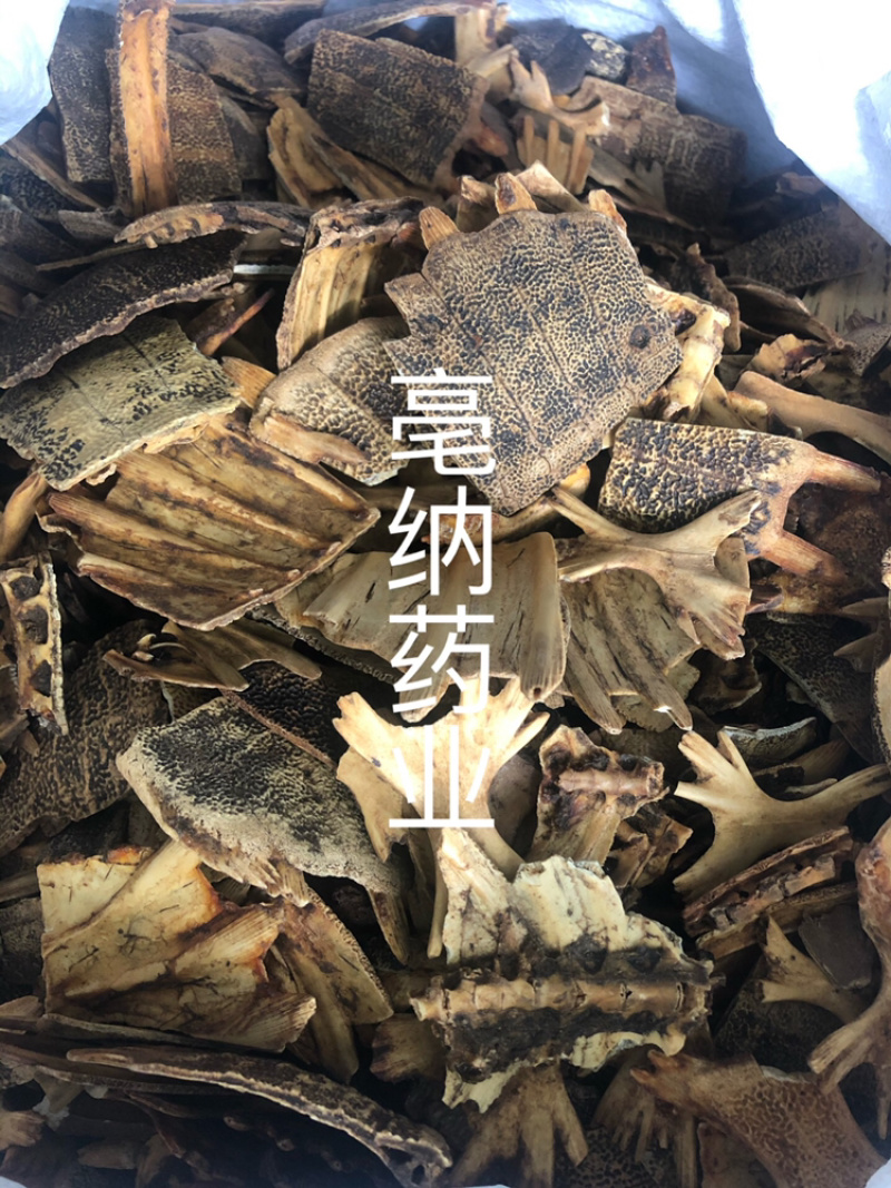 炙鳖甲中药材优质鳖甲炒鳖甲散装醋制甲鱼壳