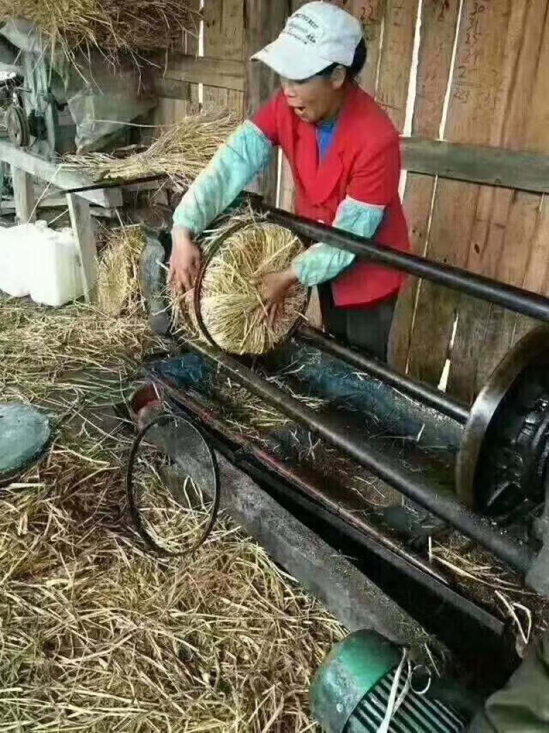 贵州黎平精品野生茶油生产基地