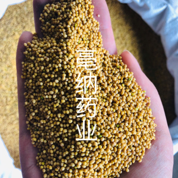黄芥子中药材黄芥子芥菜子芥菜籽辣菜籽新货