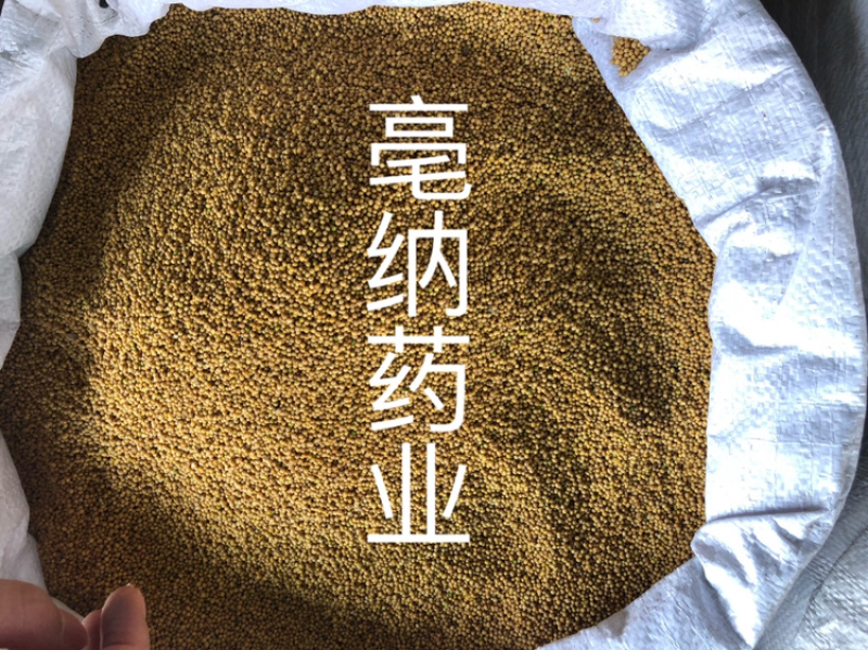 黄芥子中药材黄芥子芥菜子芥菜籽辣菜籽新货