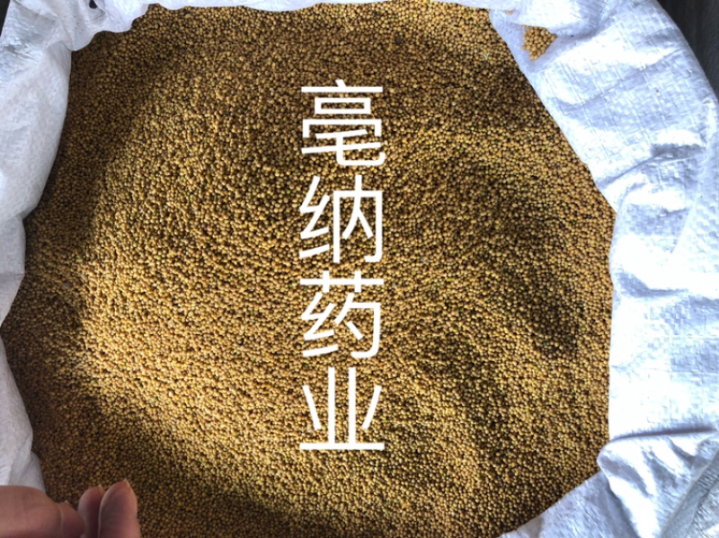 黄芥子中药材黄芥子芥菜子芥菜籽辣菜籽新货