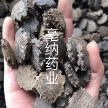 木鳖子中药材漏苓子无硫新货木鳖子批发价