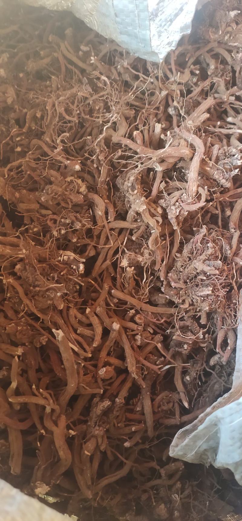 滇丹参干货，统货，云南品种