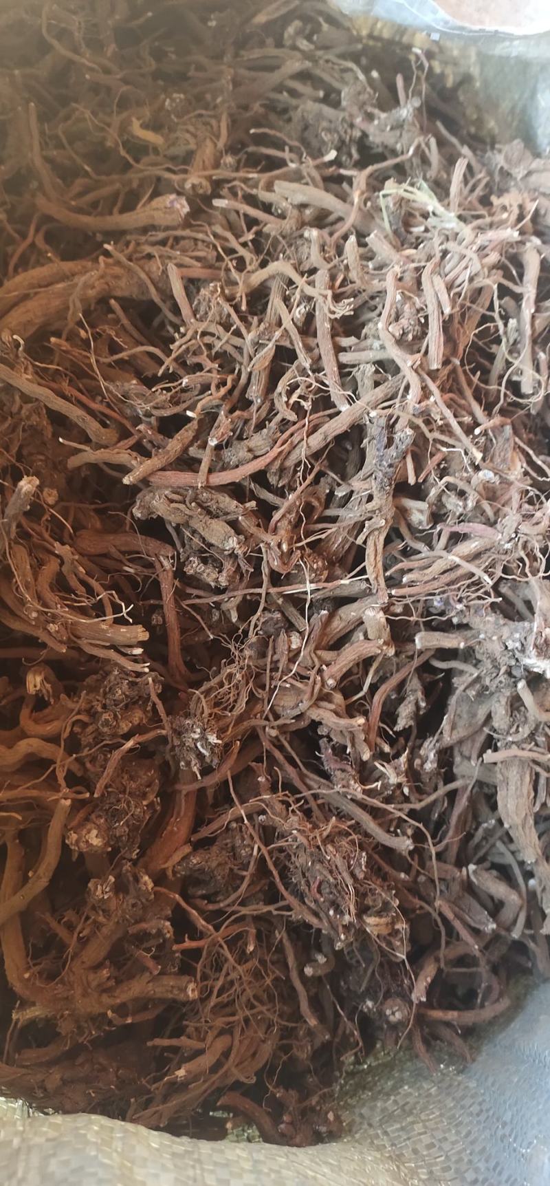 滇丹参干货，统货，云南品种