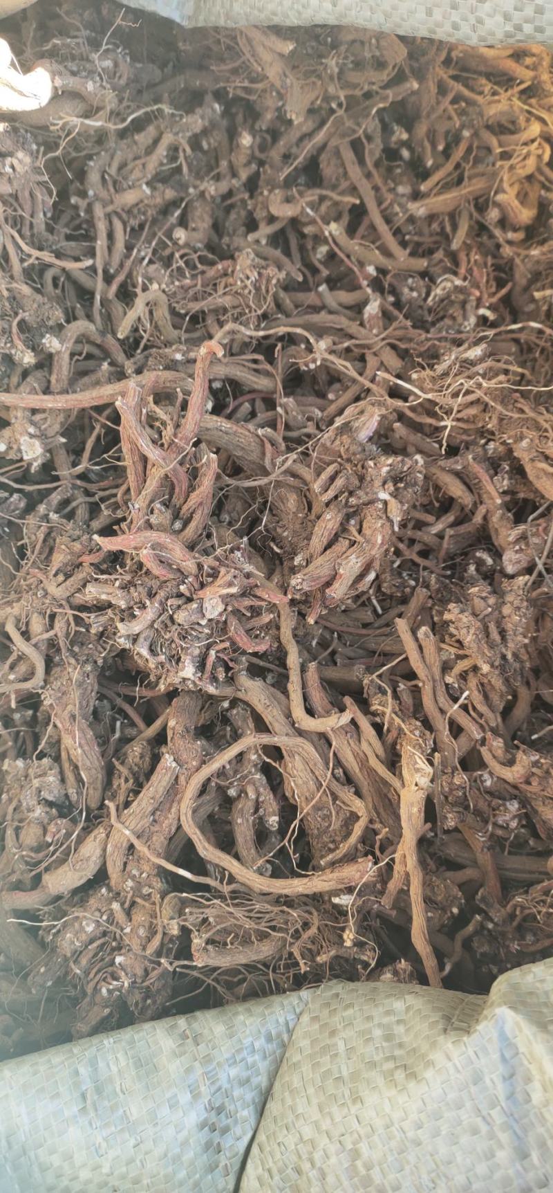 滇丹参干货，统货，云南品种