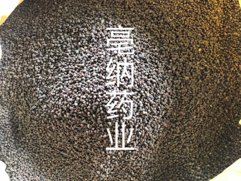 急性子中药材新货无硫冷背