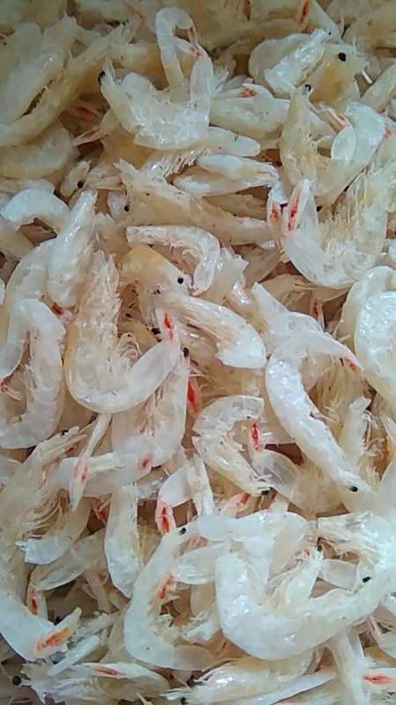 虾皮厂家直销品种两千多种老少皆宜价格便宜