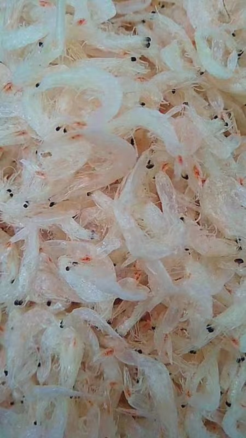 虾皮厂家直销品种两千多种老少皆宜价格便宜