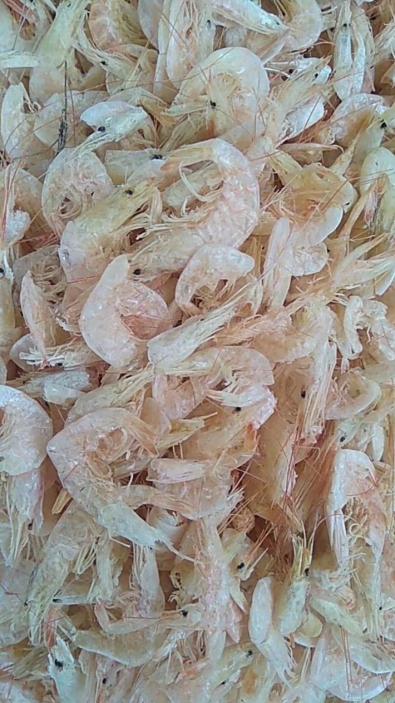 虾皮厂家直销品种两千多种老少皆宜价格便宜