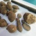 野生三叶青新鲜晒干中药材金线吊葫芦丝线吊金钟