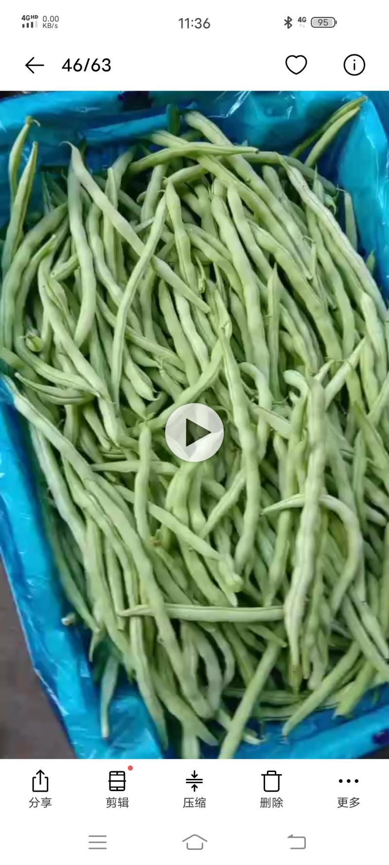 新鲜蔬菜硬粉西红柿茄子豆角黄瓜等