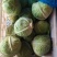 新鲜蔬菜硬粉西红柿茄子豆角黄瓜等