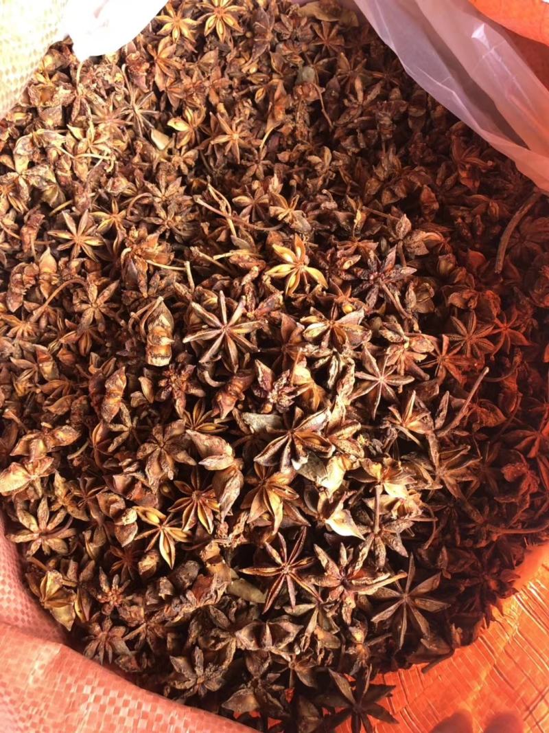 广西大红八角新货质量好