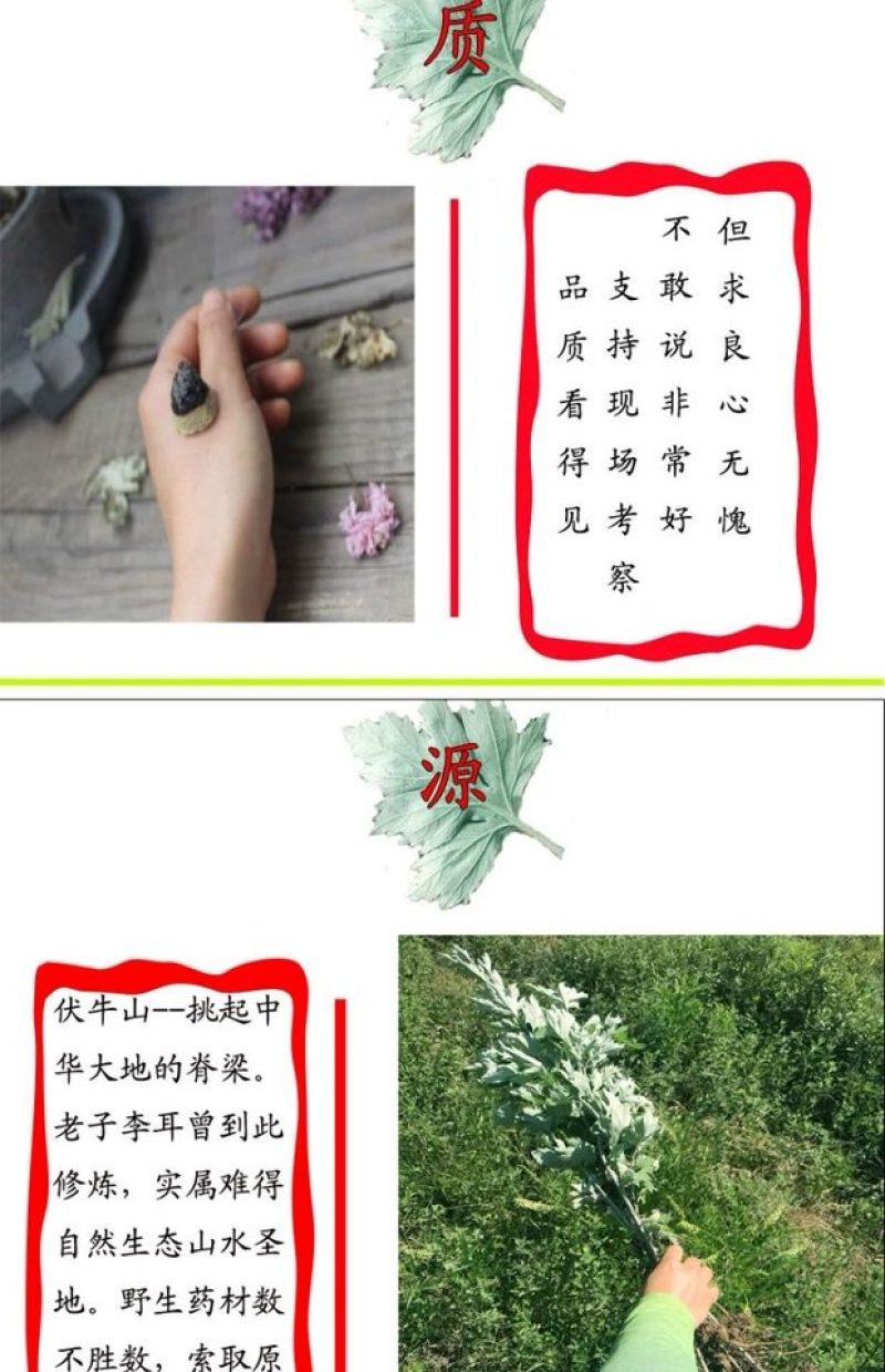 手工陈艾绒散装500g家用陈年石磨天然纯艾绒包宫寒美容院