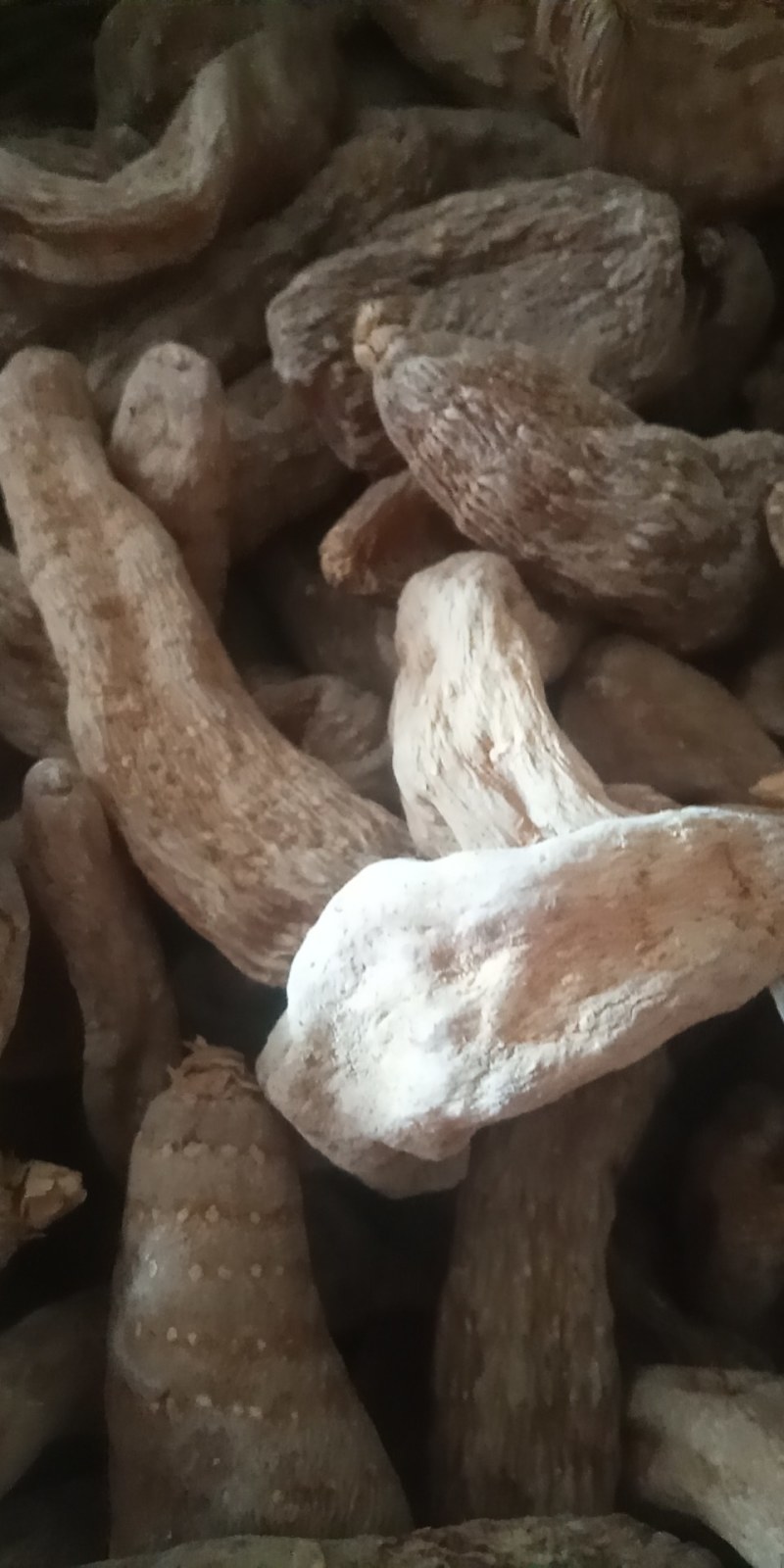 野生天麻河南野生天麻大别山特产野生中草药精选天麻