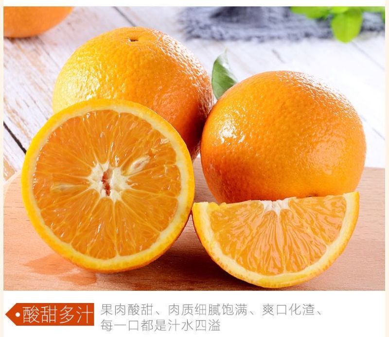 广西桂林高山夏橙外贸出口东南亚国家。代办代发