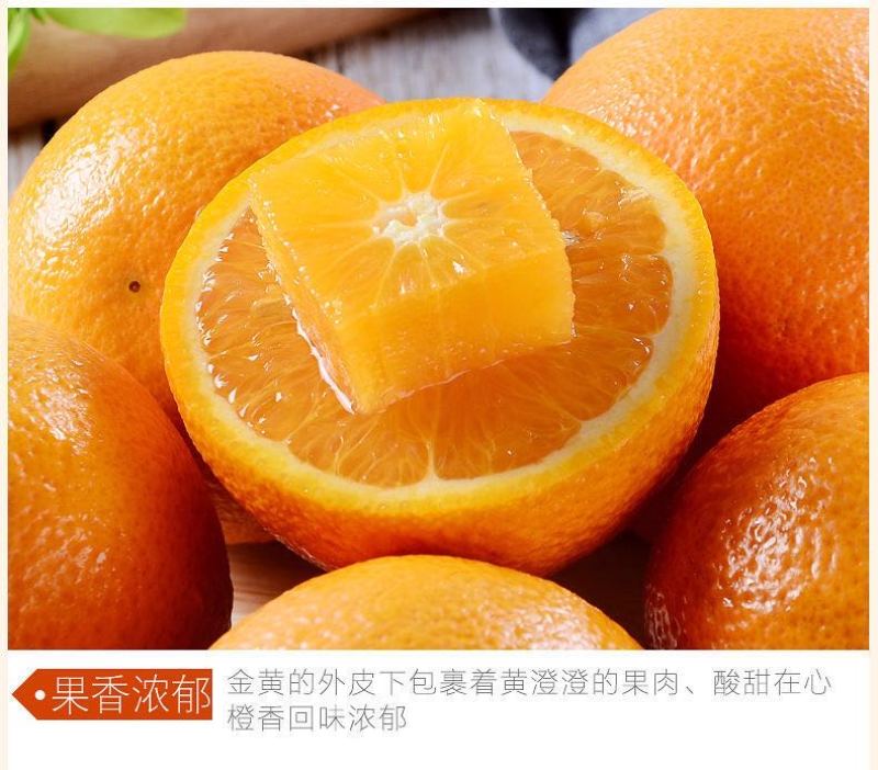 广西桂林高山夏橙外贸出口东南亚国家。代办代发