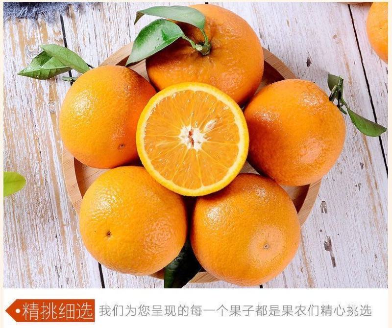 广西桂林高山夏橙外贸出口东南亚国家。代办代发