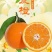 广西桂林高山夏橙外贸出口东南亚国家。代办代发