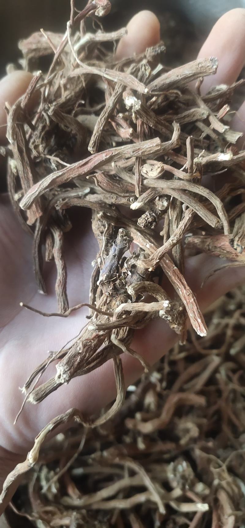 滇丹参干货，统货，云南品种