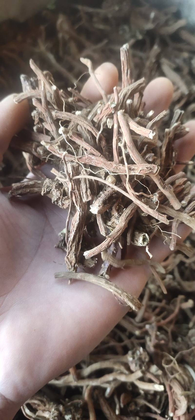 滇丹参干货，统货，云南品种