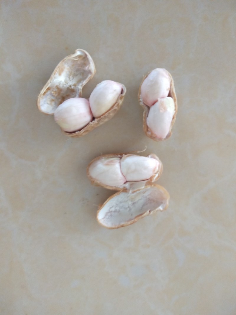 海花25精品鲜花生大量上市