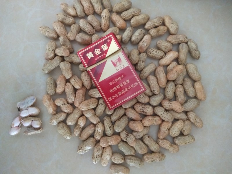 海花25精品鲜花生大量上市