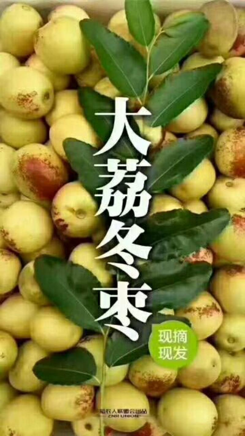 大荔县冬枣产地冬枣价格冬枣基地