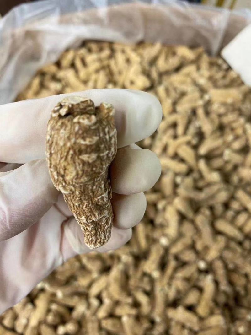 【加拿大西洋参】进口花旗参西洋参粒头切片磨粉干货无硫