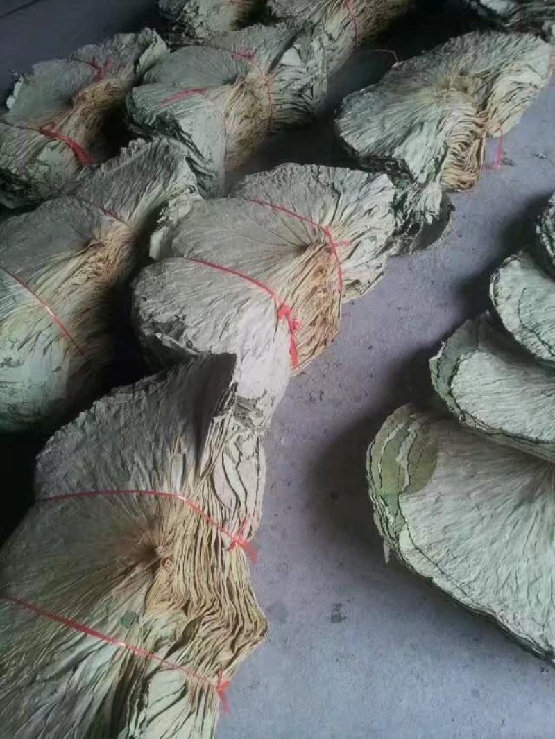 干荷叶，整张干荷叶，药材荷叶