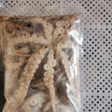 鲜活冷冻的短腿八爪鱼，直接活冻，没泡水，个个带米包