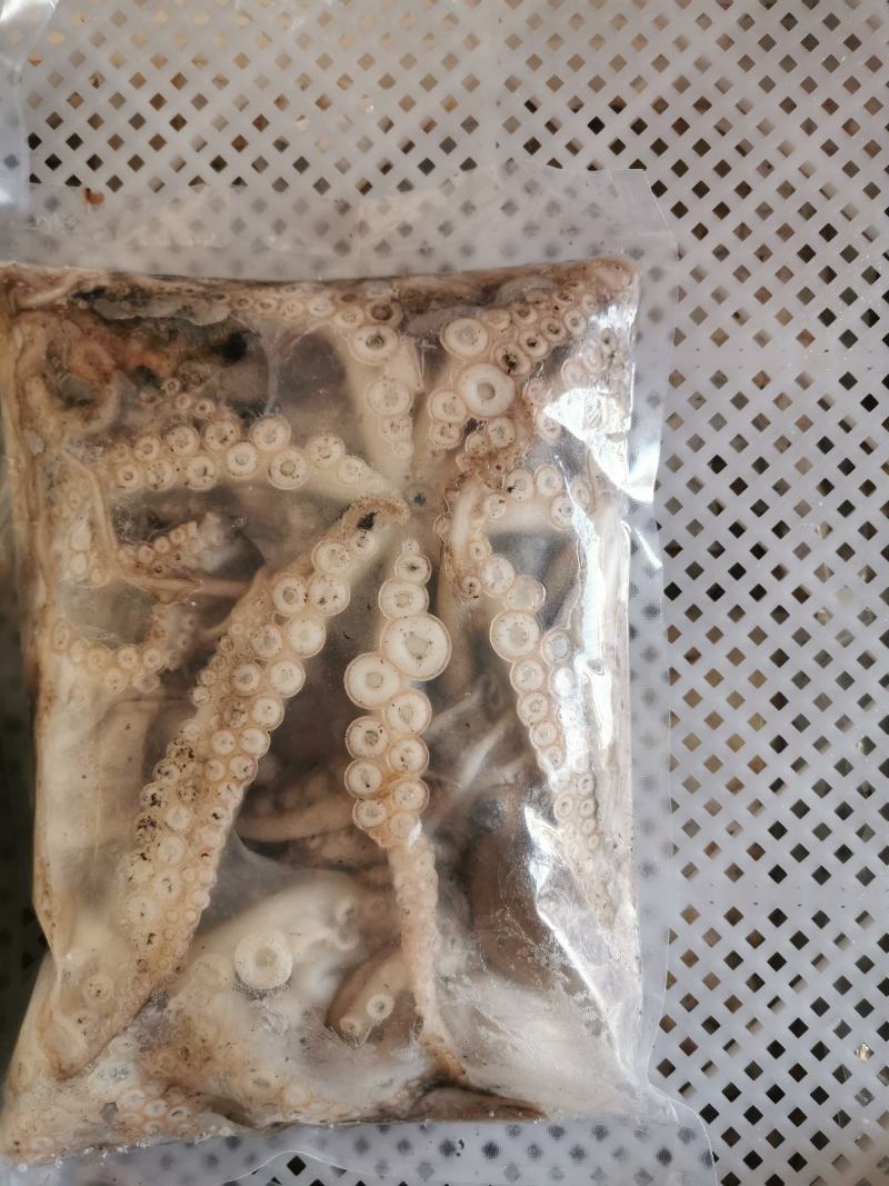 鲜活冷冻的短腿八爪鱼，直接活冻，没泡水，个个带米包