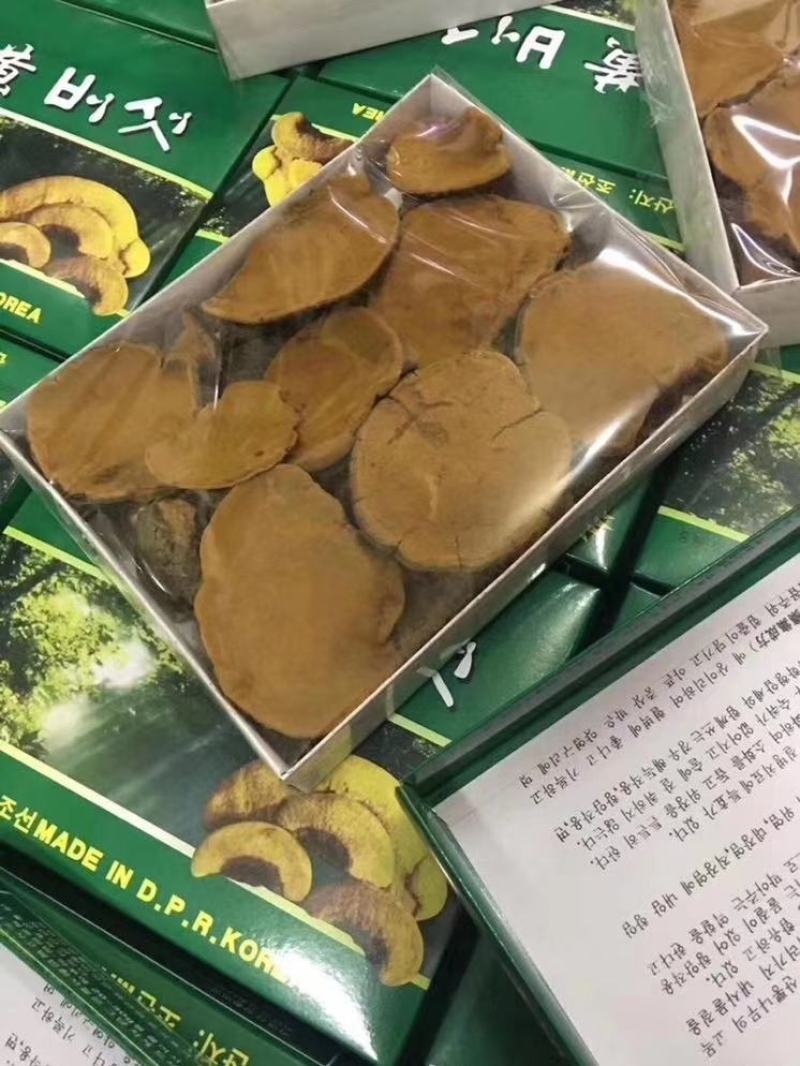纯桑黄桑树桑黄500克/盒礼盒装全国发货